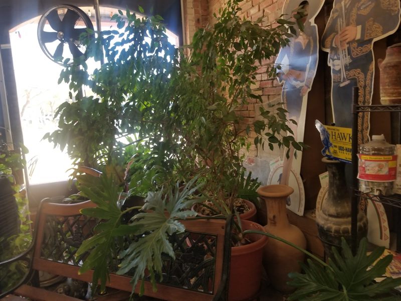 Dos Panchas - Mexican Restaurant interior